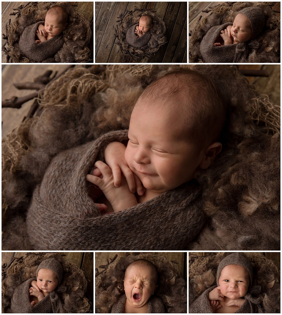 Samantha Bryce newborn photography south west sydney