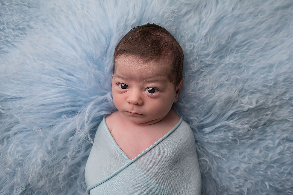 Samantha bryce photography newborn west western sydney