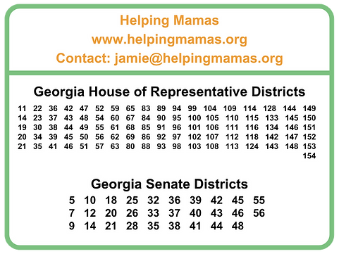 GA Coalition banks leg districts 2025.png