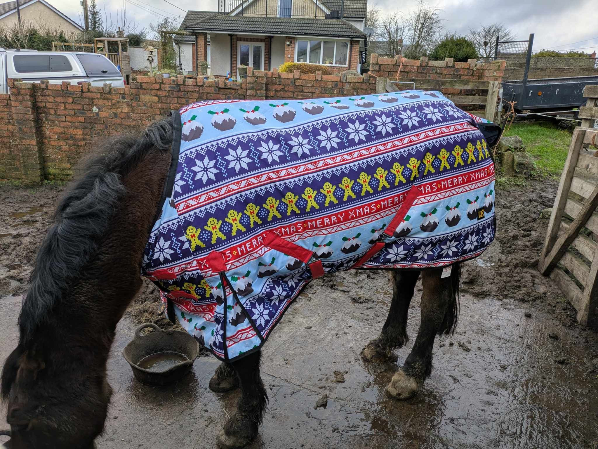 7'0 christmas turnout rug