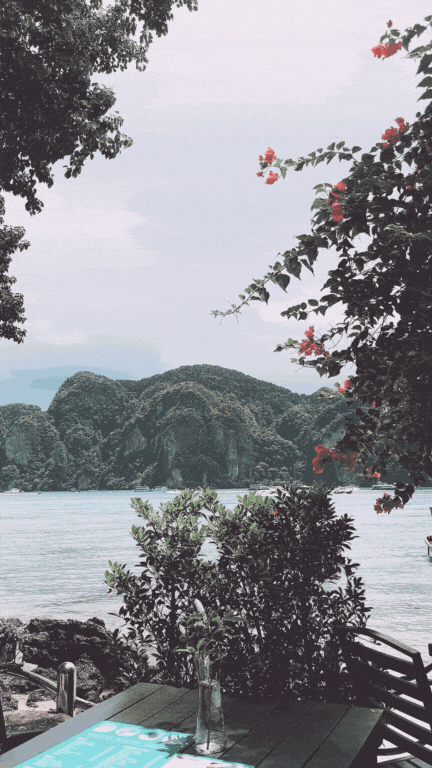 pan scene view of beautiful floral vintage landscape