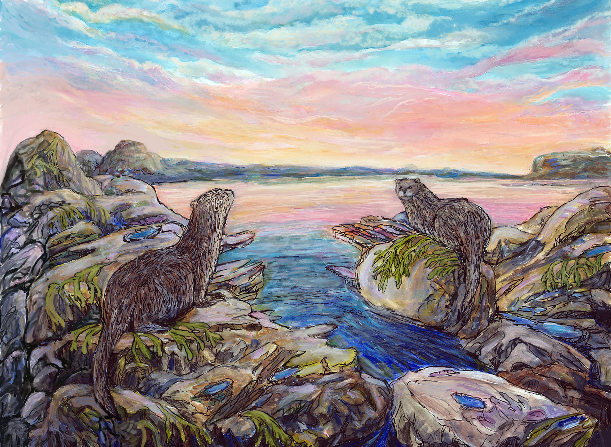 Otters on the Bay