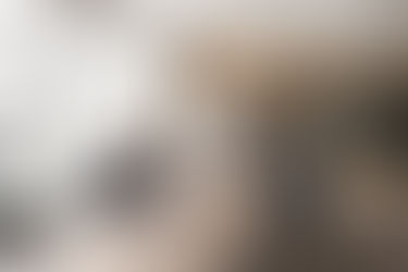 Leadership team reviewing strategy together during a planning meeting