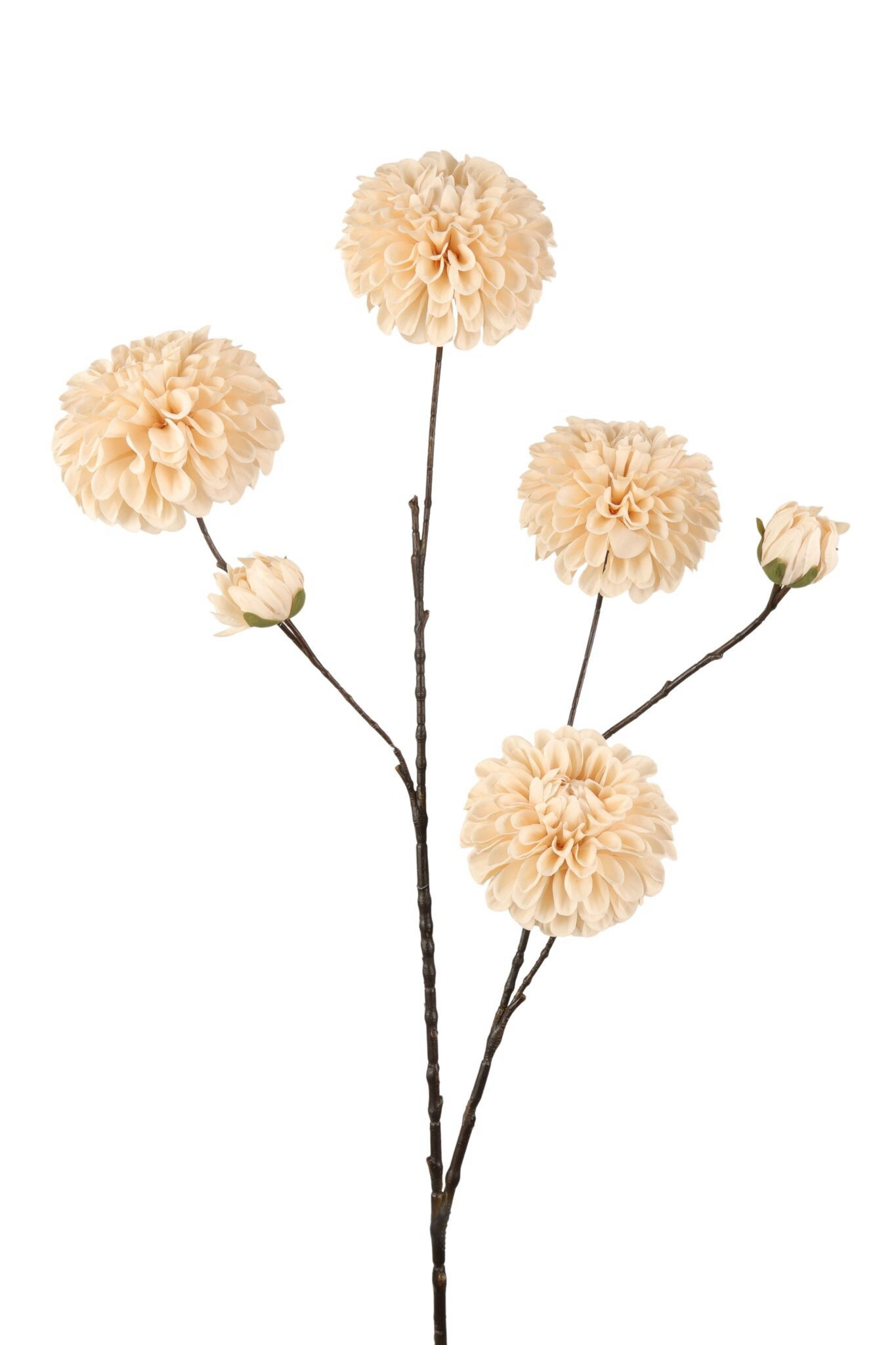 Studio BAM | Kunsttak Dahlia cream, 110cm