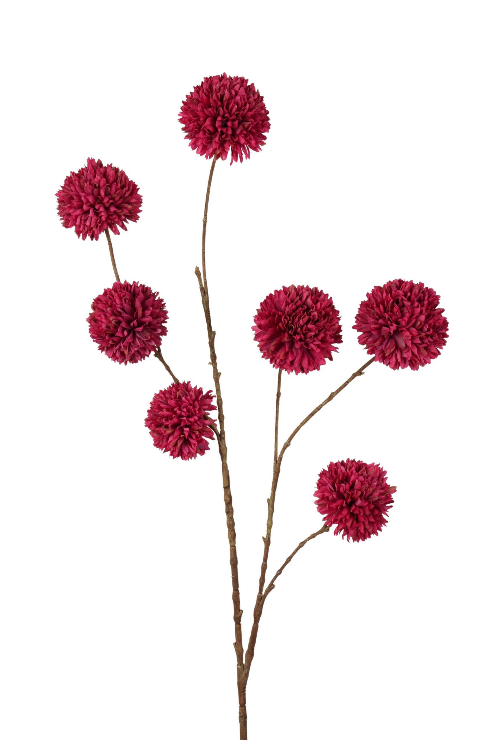 Kunsttak Pompom spray Burgundy, 98cm