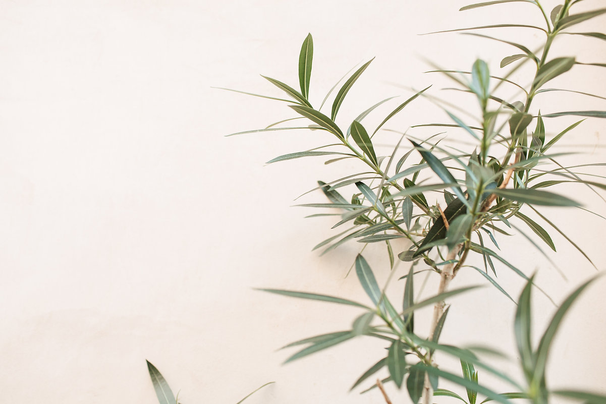 AdobeStock_332347888.jpeg