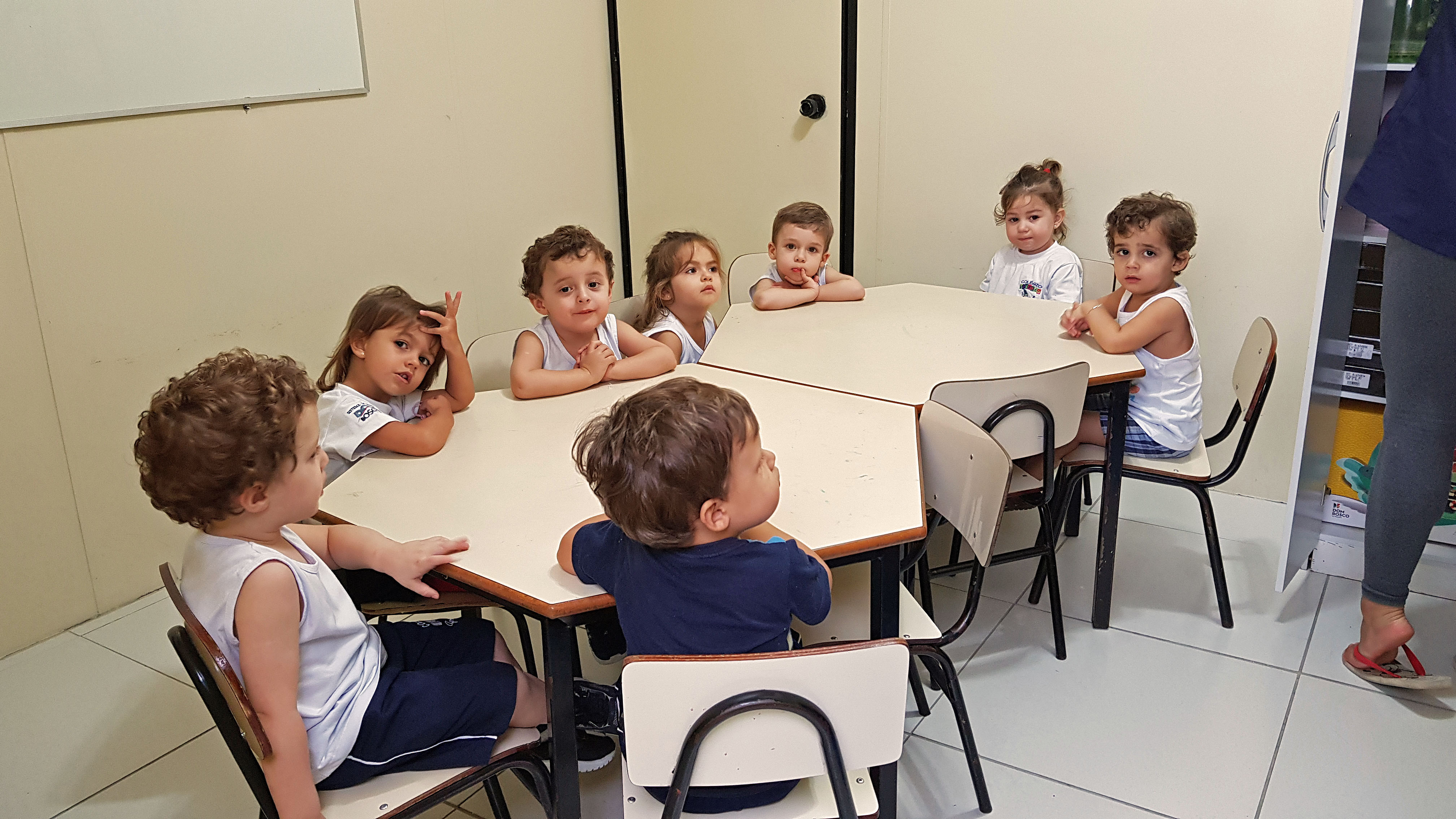 Educação Infantil (304)