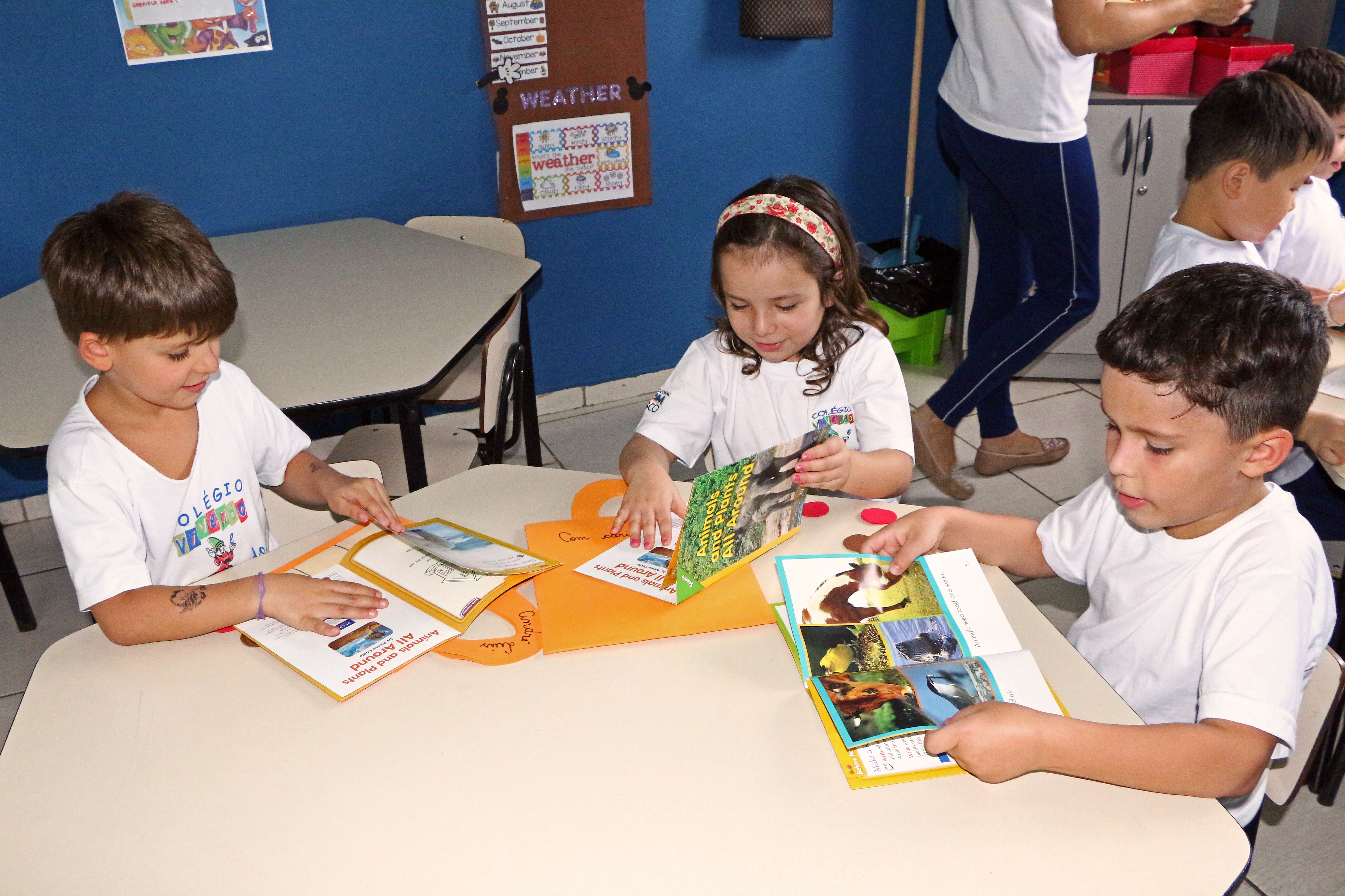 Educação Infantil (65)