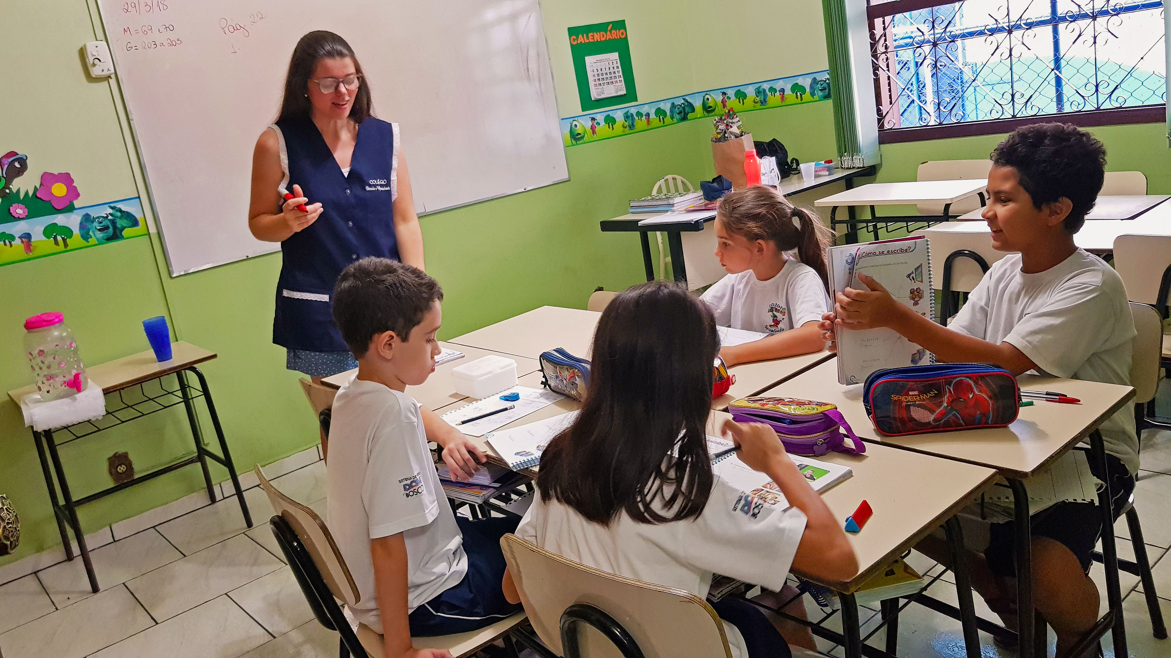 Ensino Fundamental (195)
