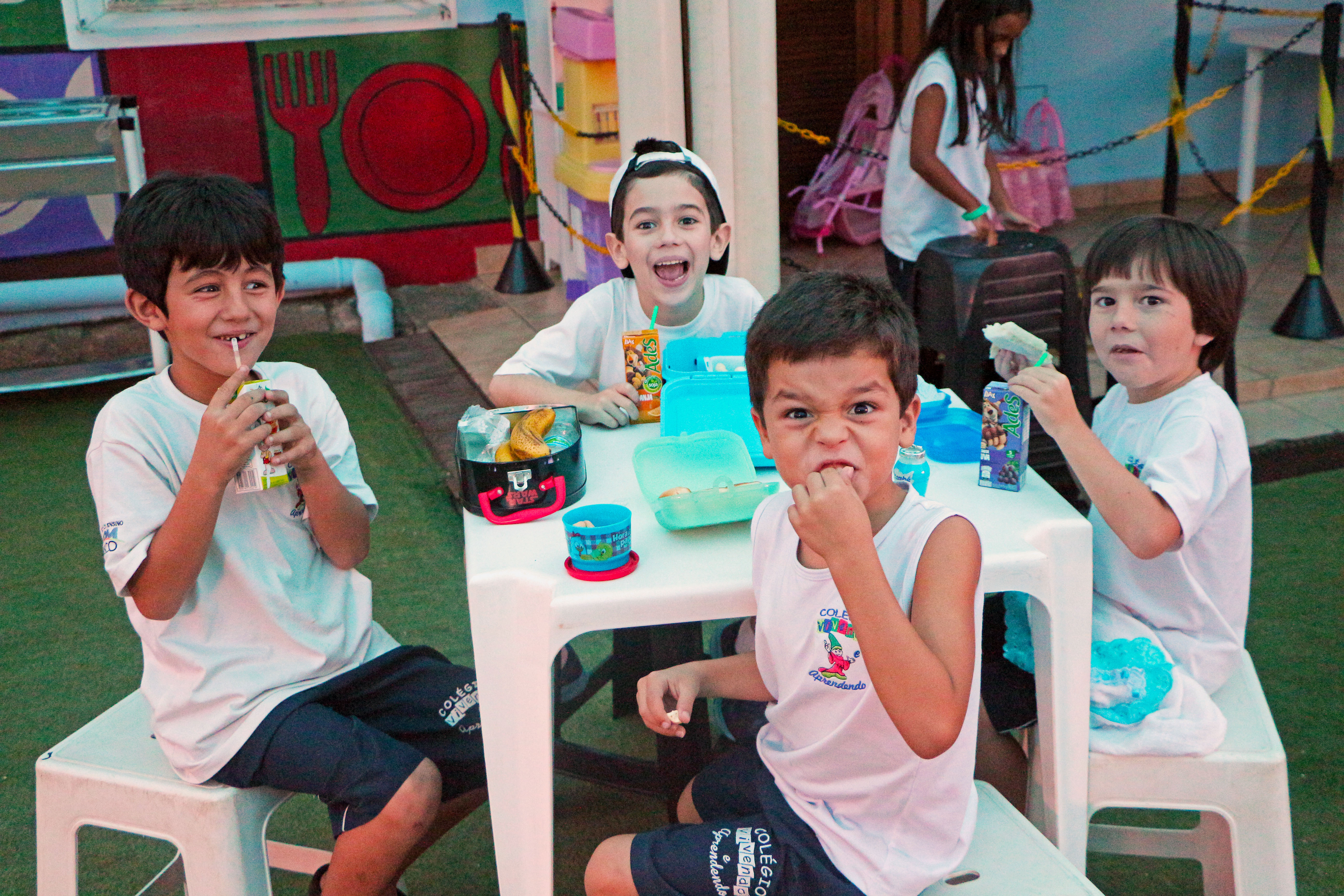 Ensino Fundamental (60)