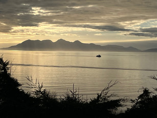 View from living room