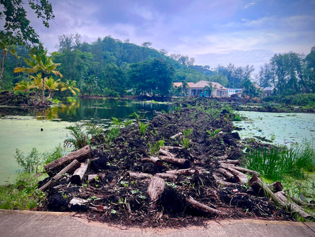 From Promise to Peril: The Environmental Failures of the Cheval Blanc Development