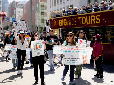 A Global Movement of Compassion