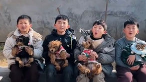 Planting the Seeds of Compassion