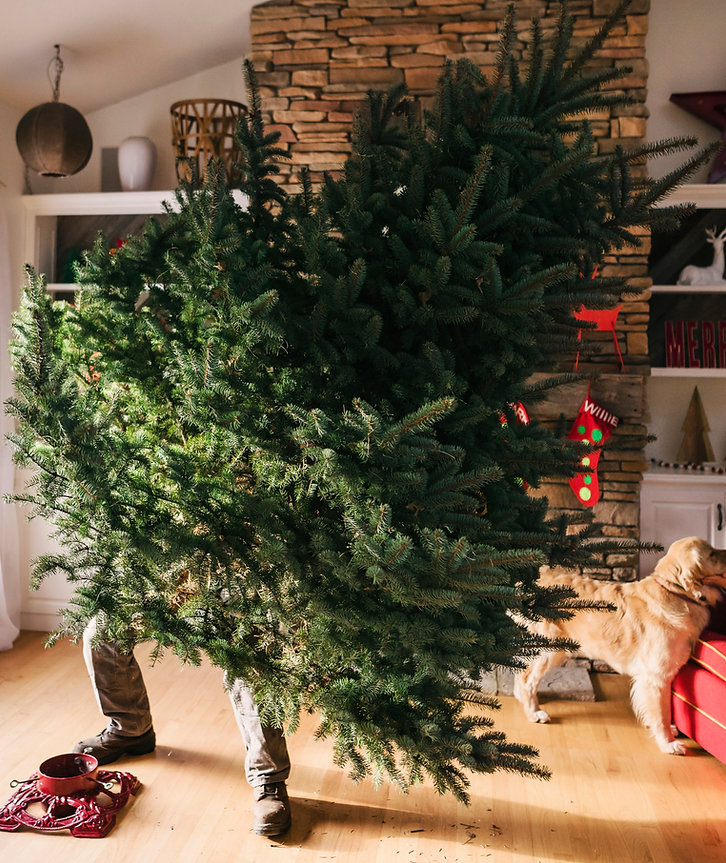 Configuración de un árbol de Navidad