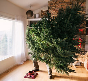 Setting Up a Christmas Tree