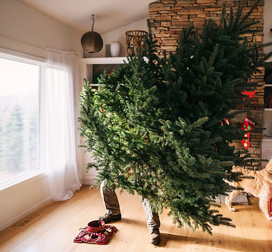Setting Up a Christmas Tree