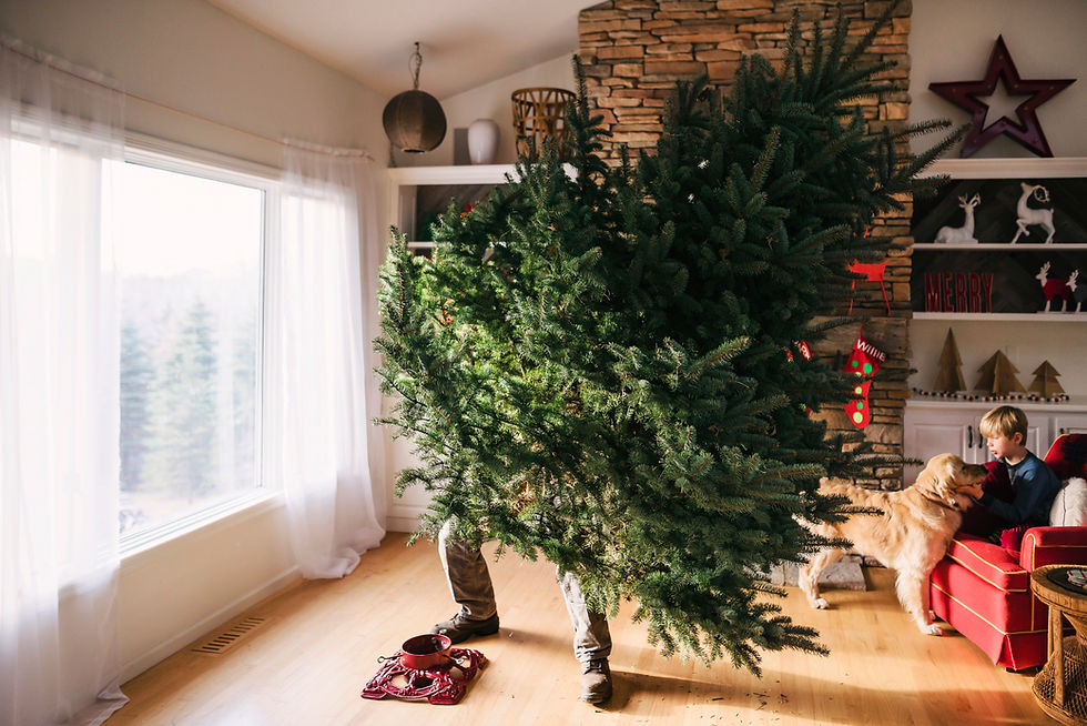 Christbaumverkauf