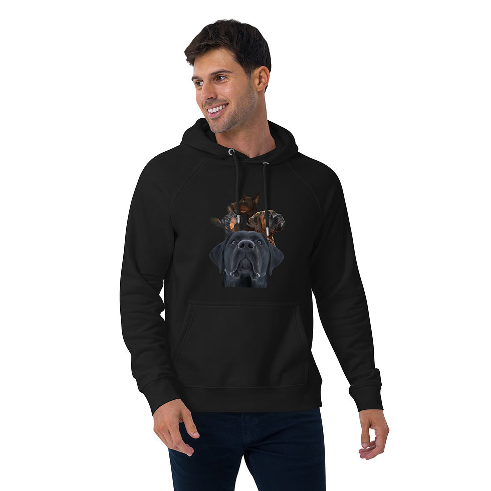 Thumbnail: Dog Pound Hoodie