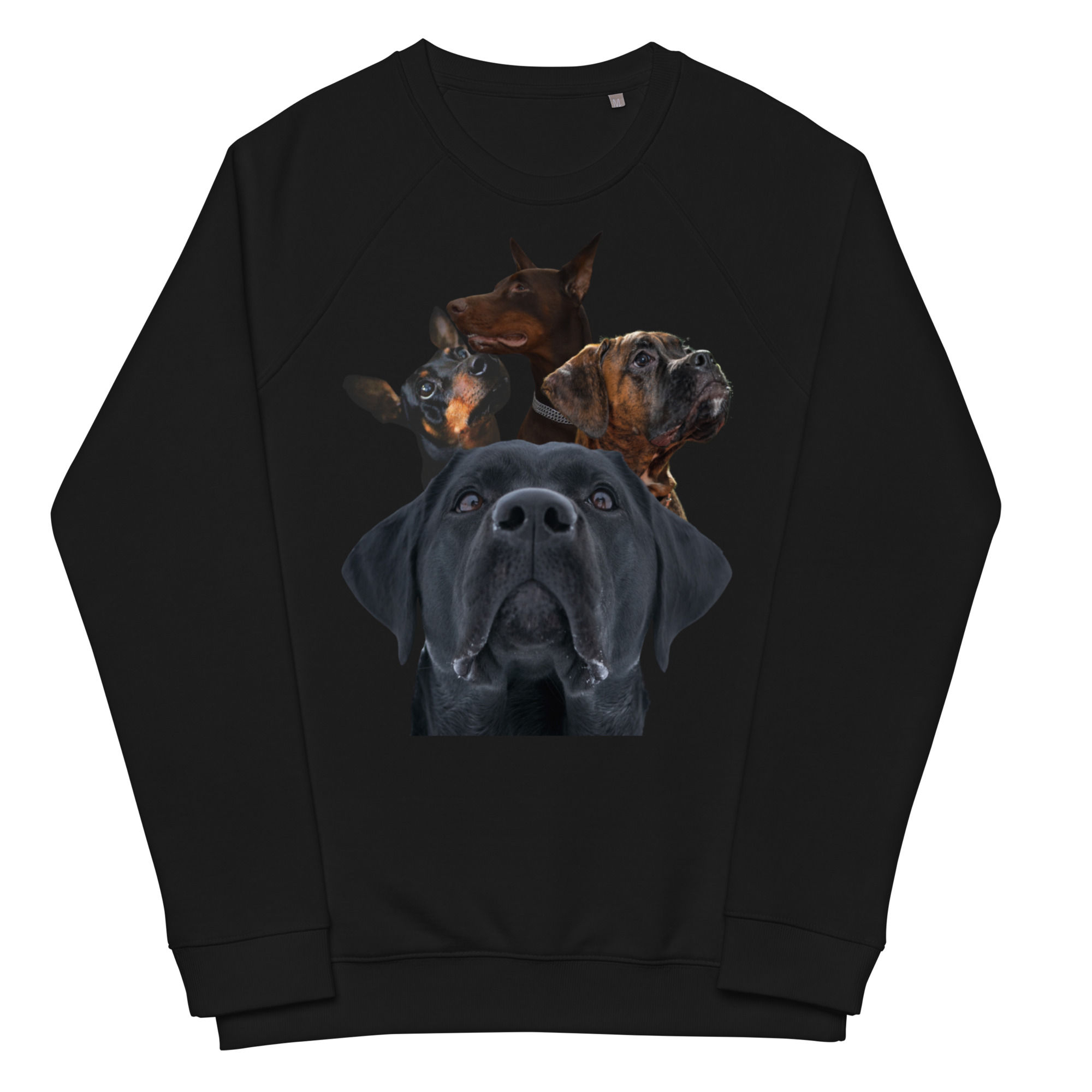 Dog Pound Sweatshirt