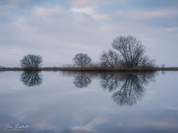 The Silence of the Floods