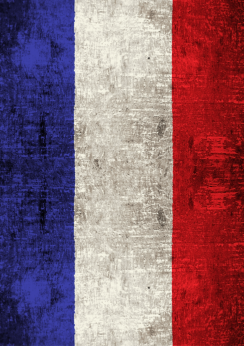 flag free -distress .png