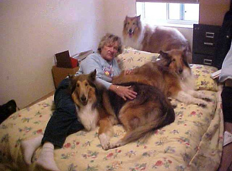 Liz with her Collie's in Gilbert, AZ.JPG