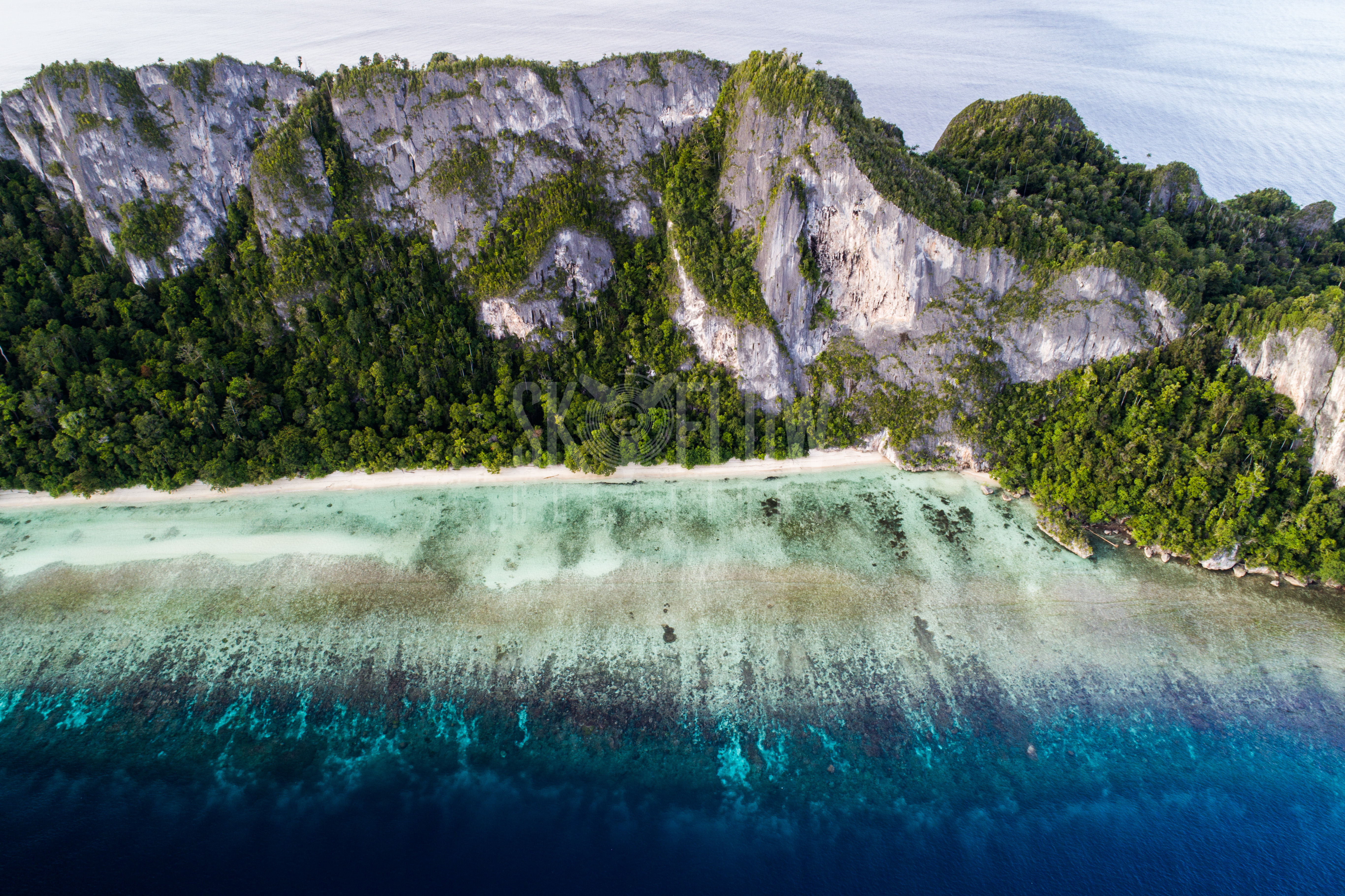 SFC1083-Quoy Island, Raja Ampat