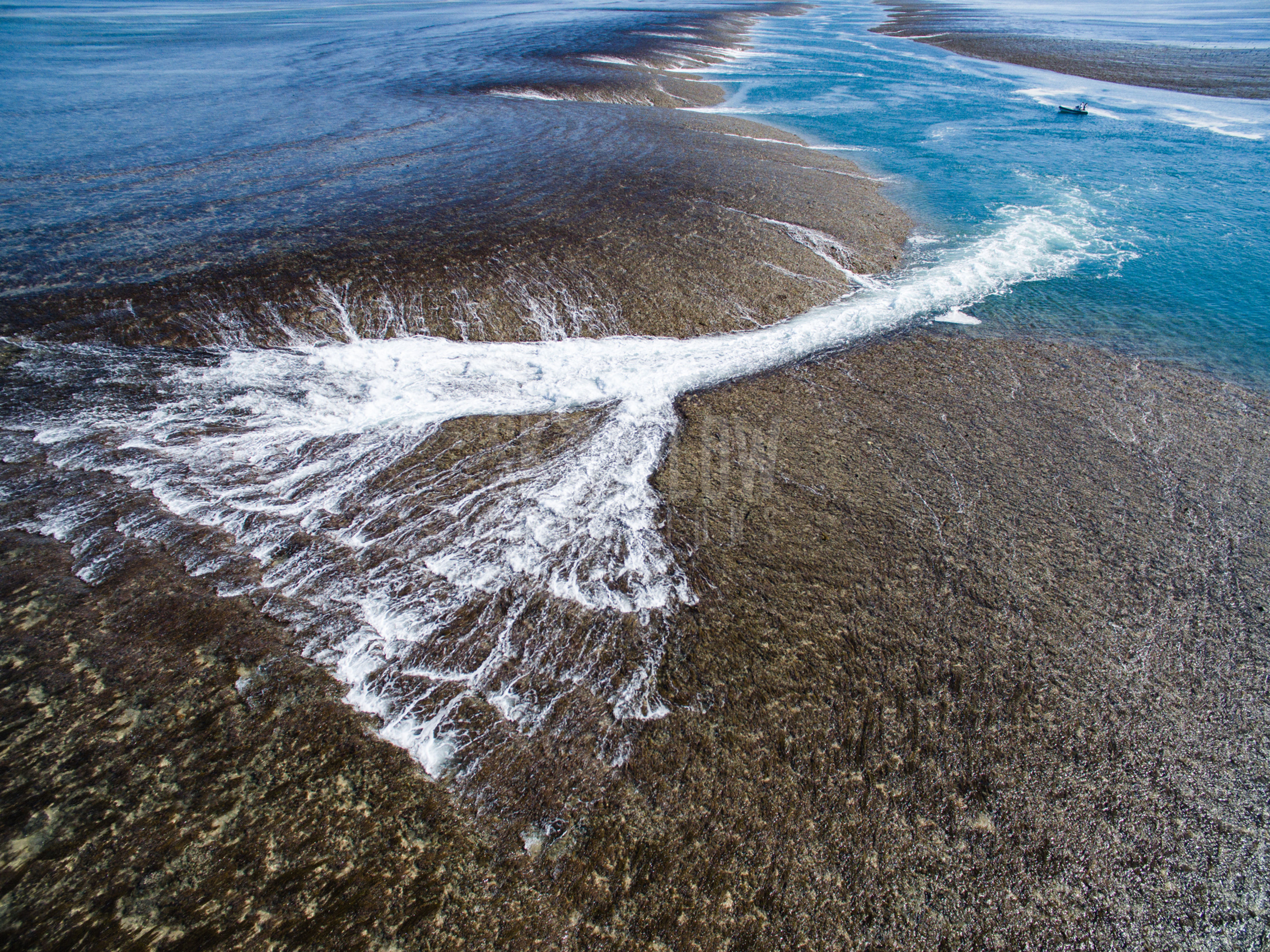 SFC476-Montgomerie Reef, The Kimberley, WA