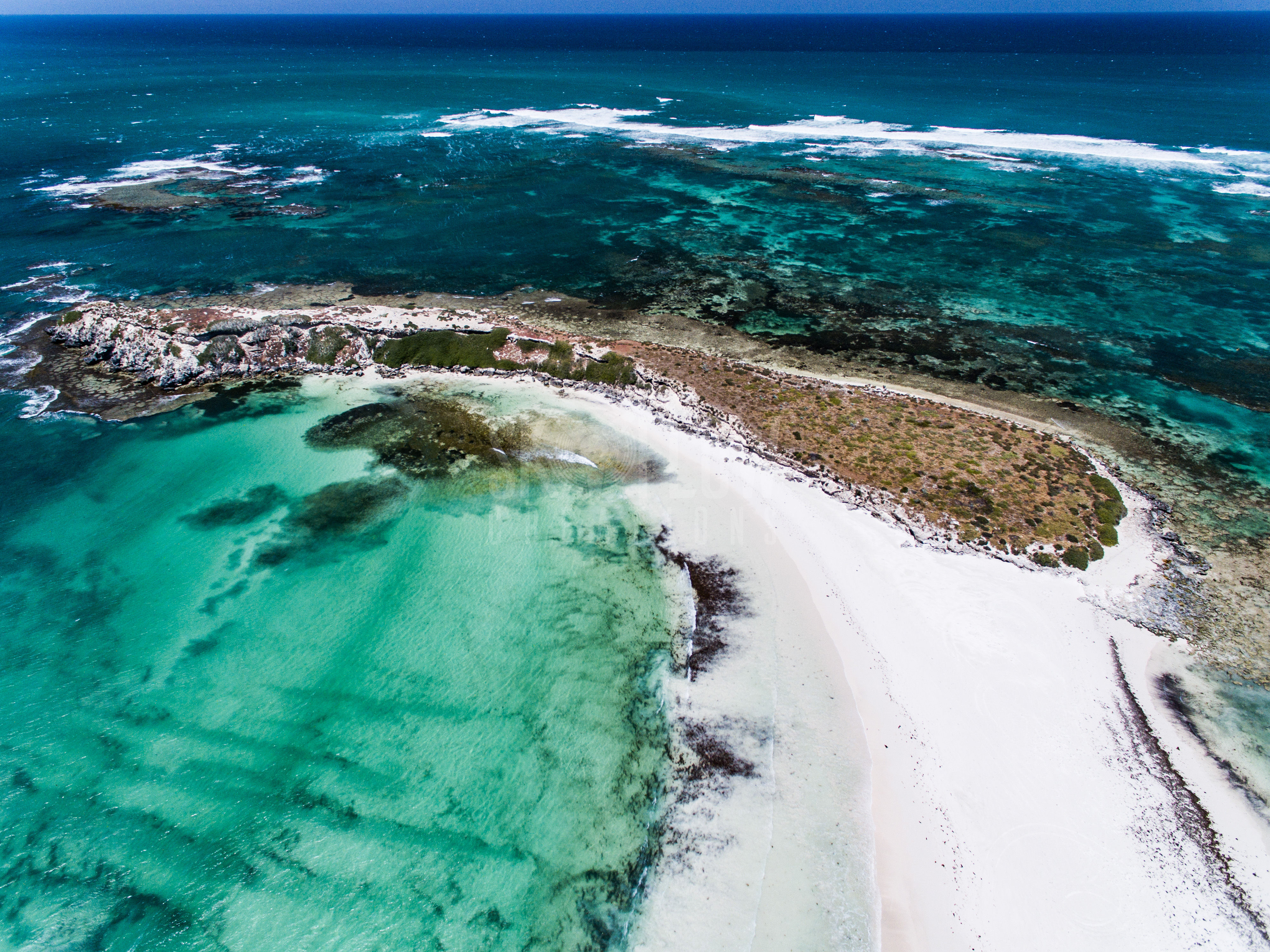 SFC595-Wedge Island, WA