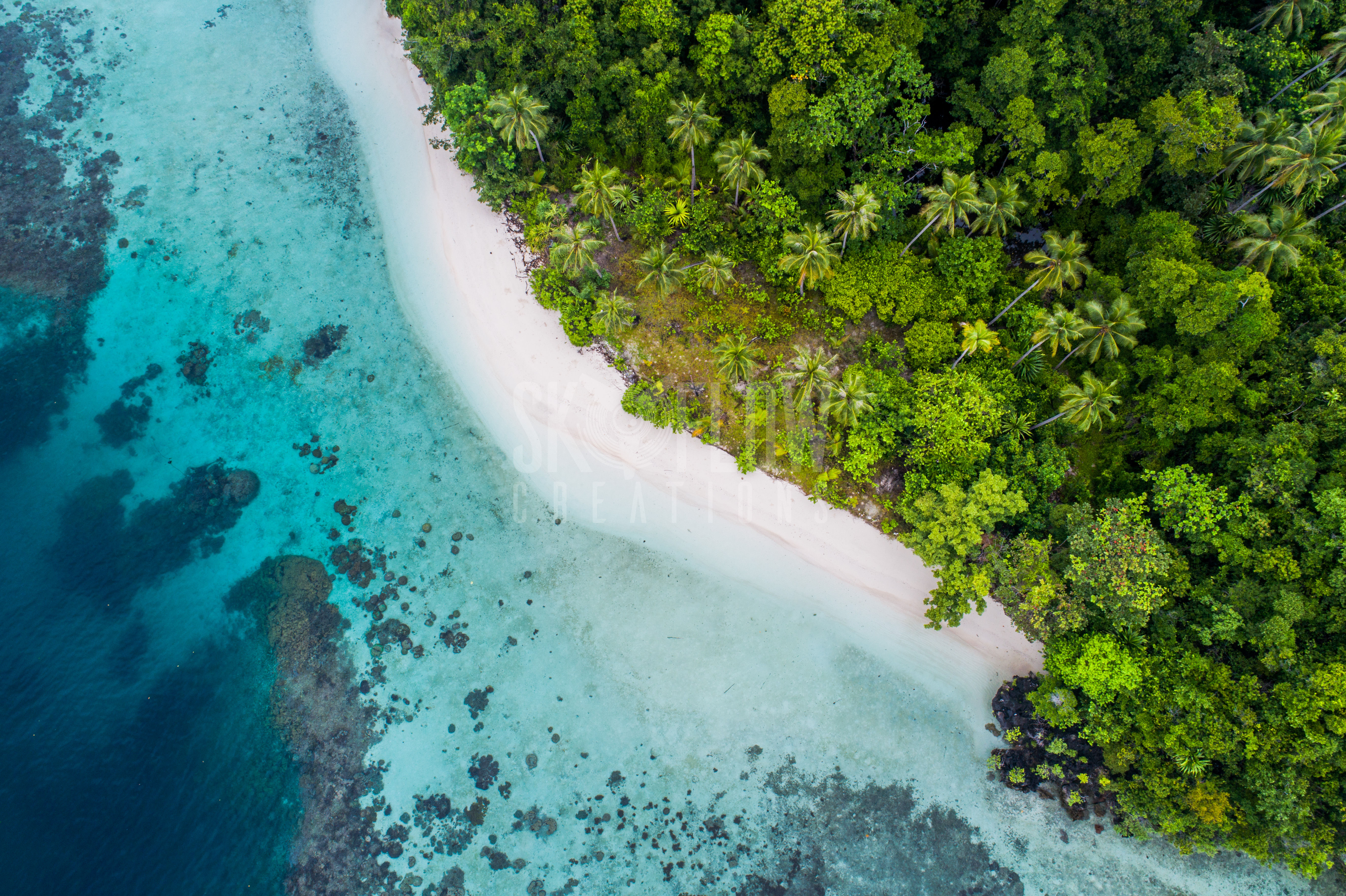 SFC936-Wofo Island, Raja Ampat