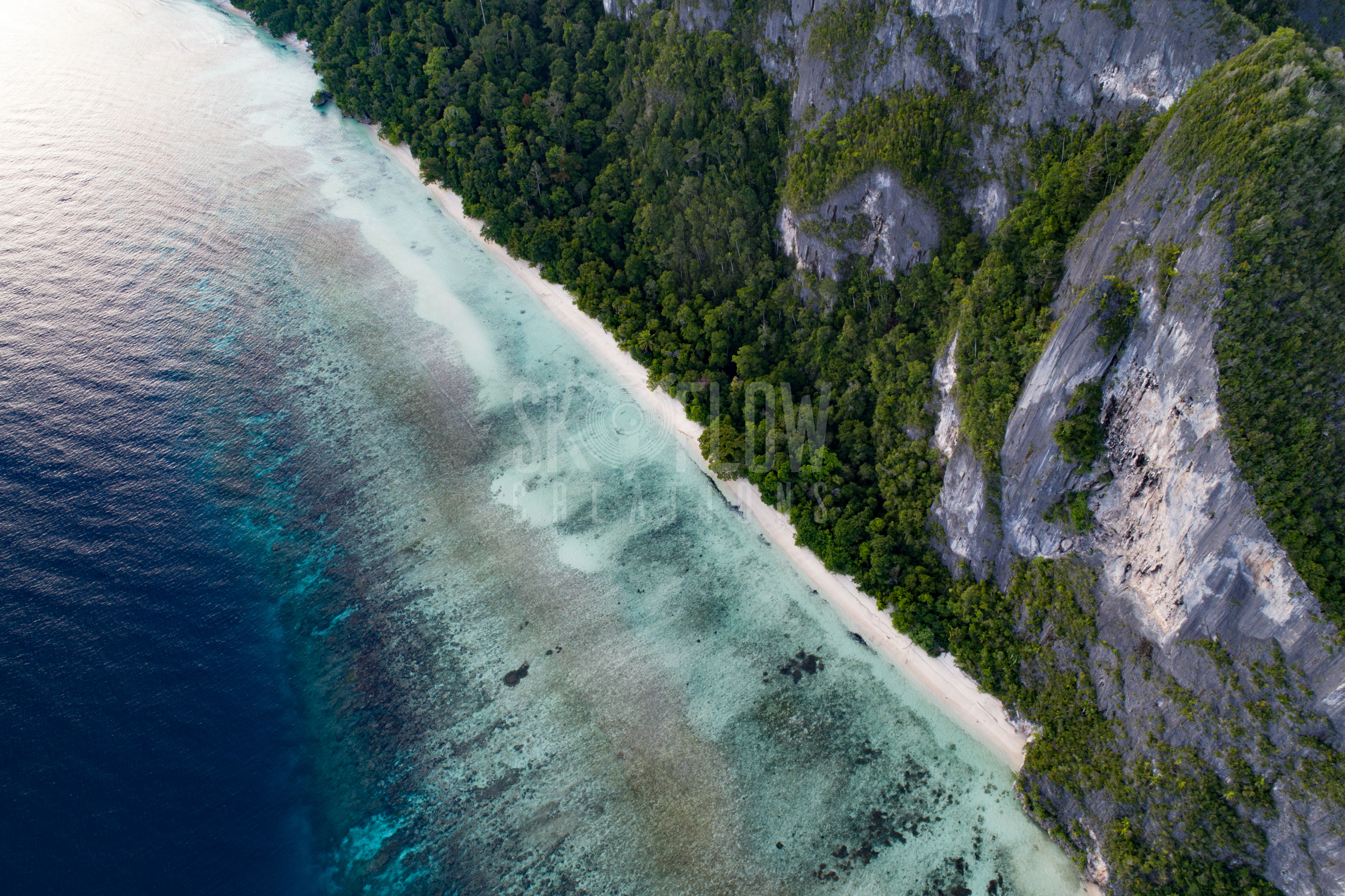 SFC1085-Quoy Island, Raja Ampat