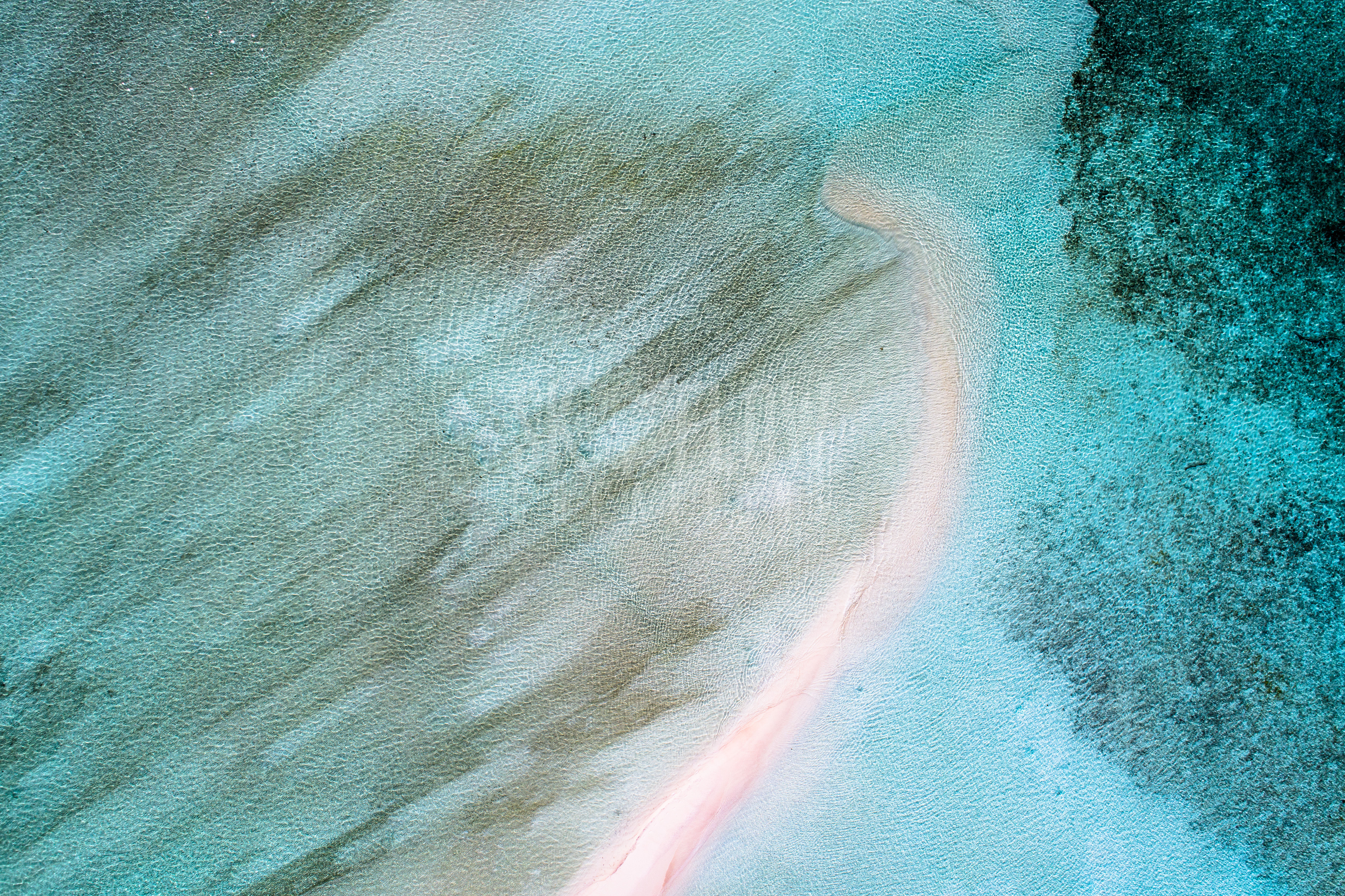 SFC1207-Yanbuba Island, Raja Ampat