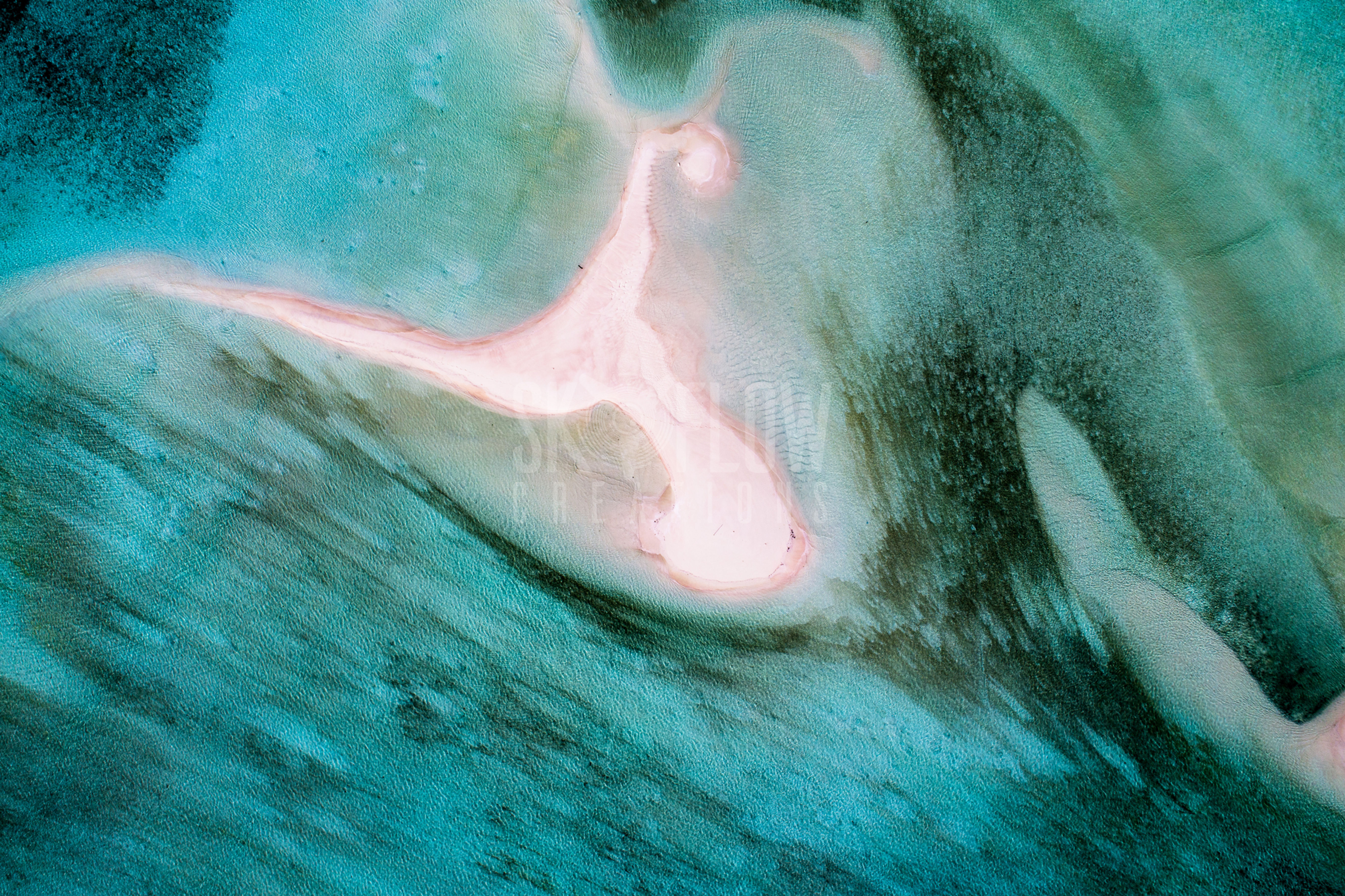 SFC1202-Yanbuba Island, Raja Ampat