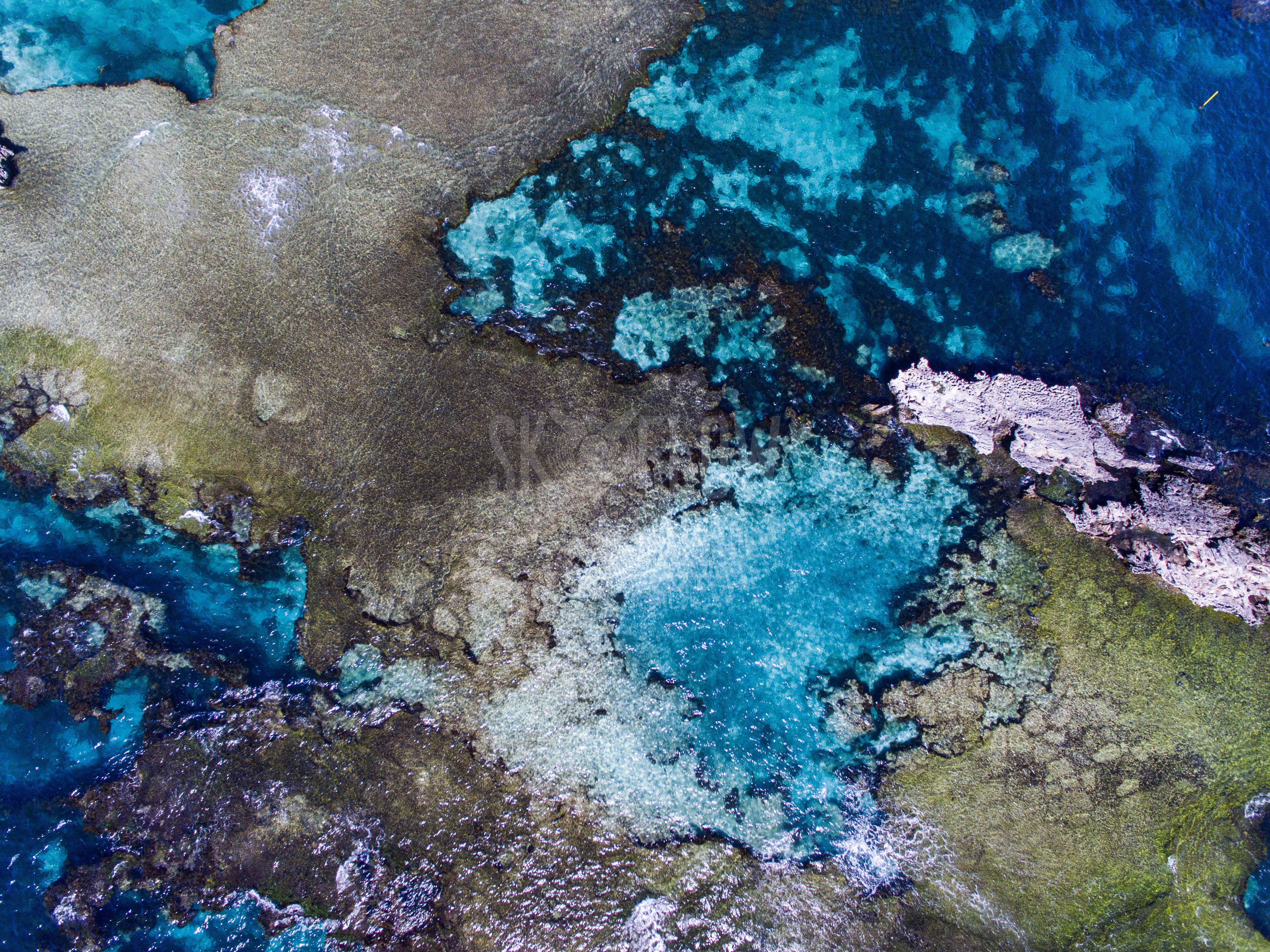 SFC564-Fish Hook Bay, Rottnest, WA