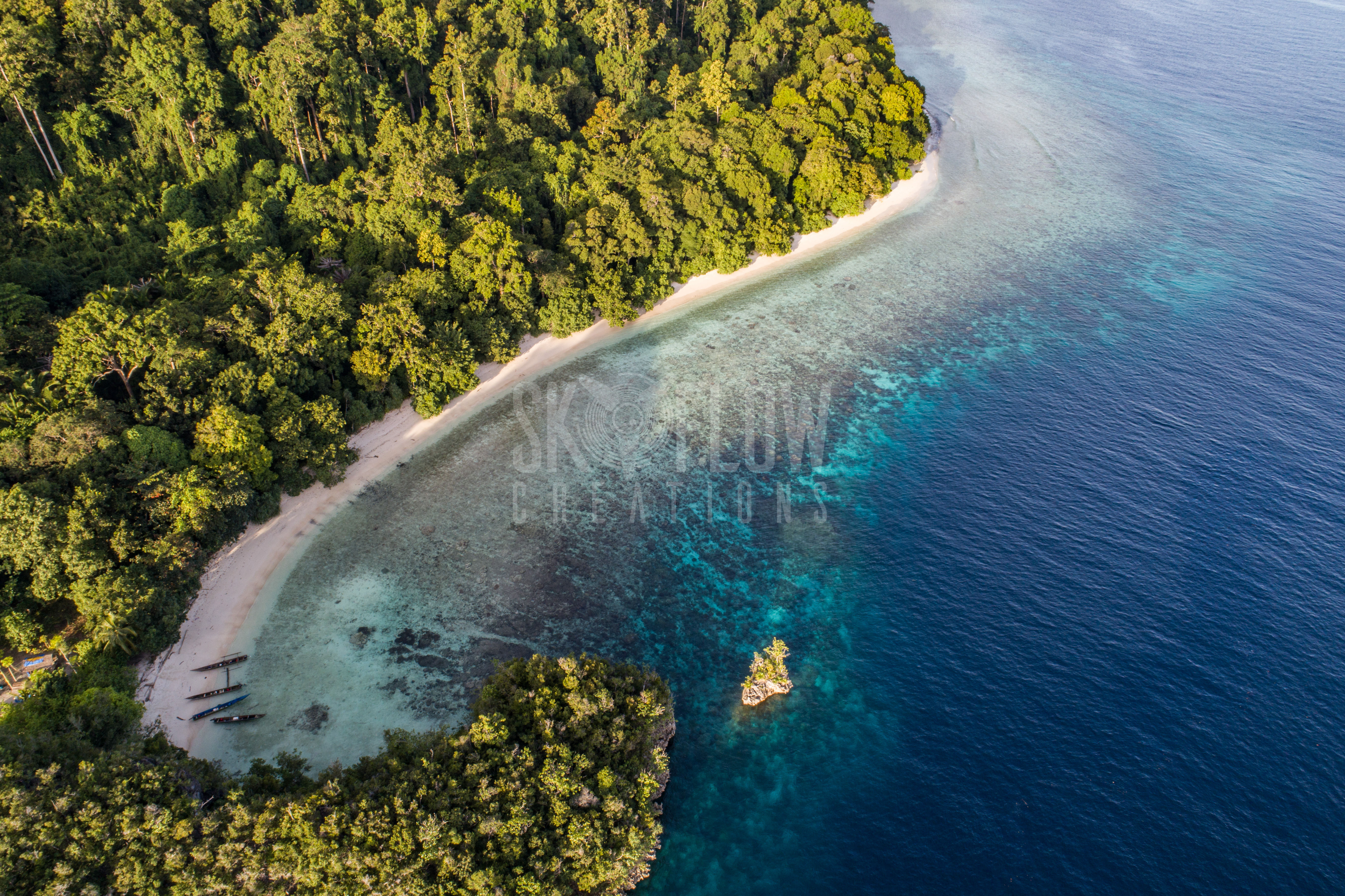 SFC1098-Quoy Island, Raja Ampat
