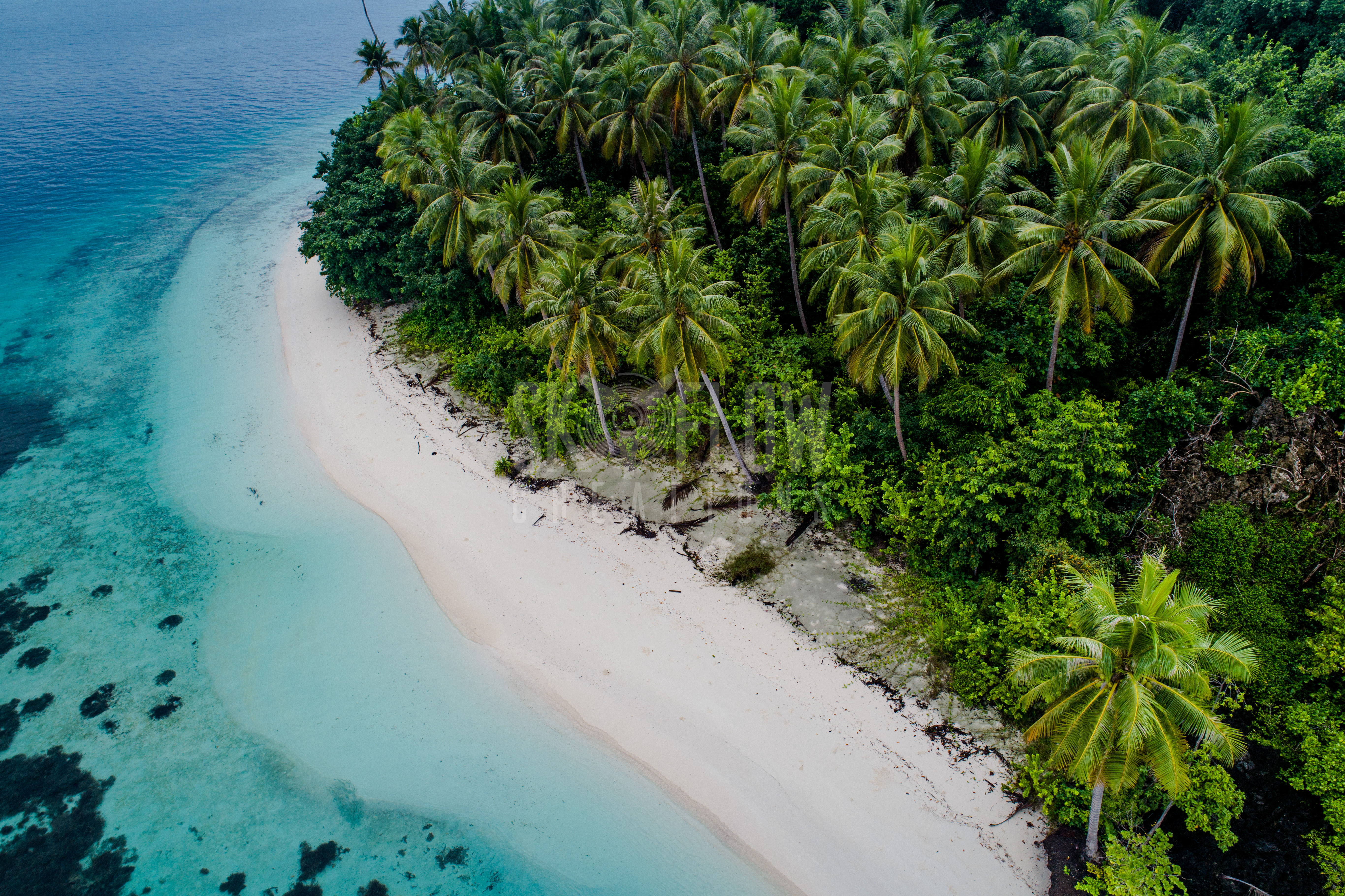 SFC940-Wofo Island, Raja Ampat