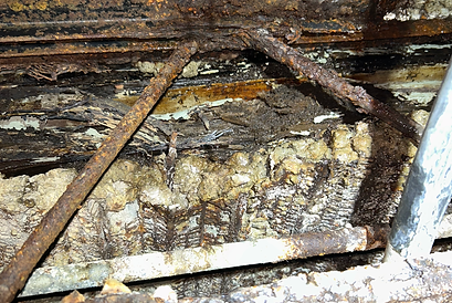 Crawl Space 3.heic