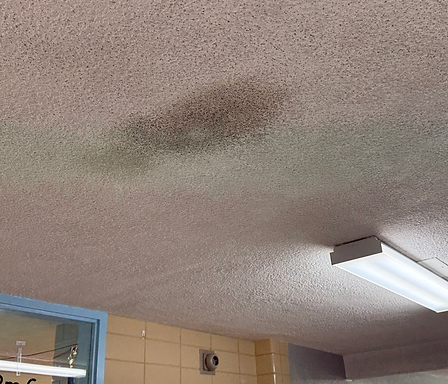 Ceiling leaks.heic