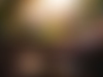 Ангелы среди нас: Как найти первых верующих, когда фонды говорят «слишком рано»