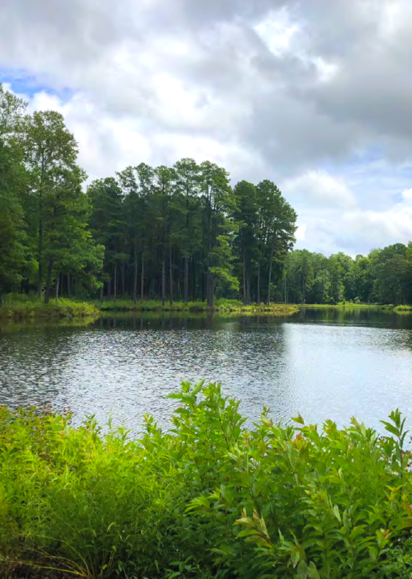 lake