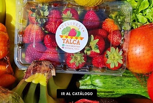 deliverytalca.jpg