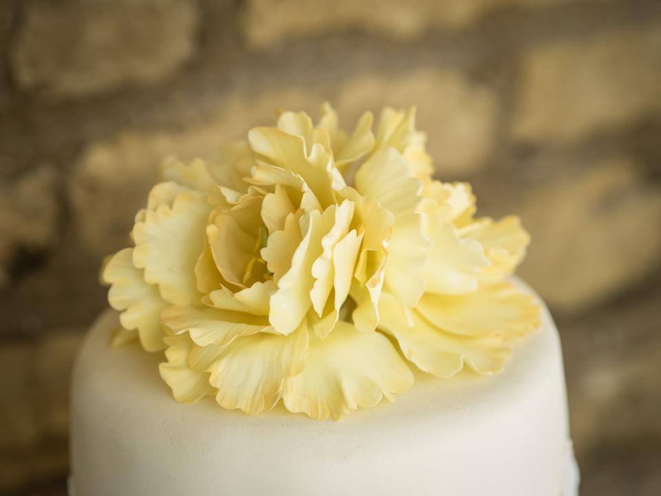 Sugar Peony
