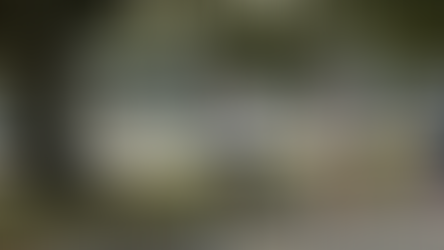 Newsletter: January 30, 2026