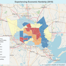 Houstonians Experiences Economic Hardship.png