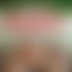 Italian Restaurant in Bangkok, Phuket & Koh Samui Parma by Mozza