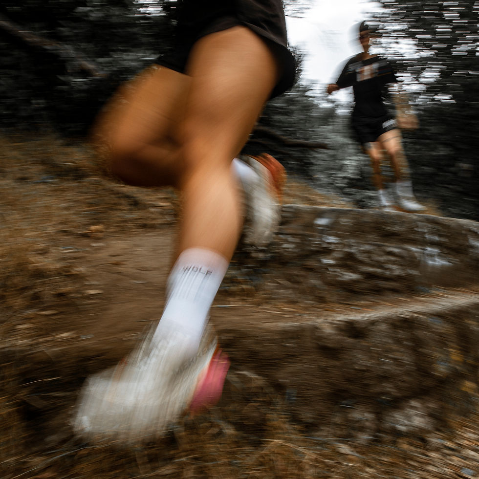 Thumbnail: PURSUIT LIGHT_01 CREW SOCK