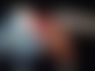 Image of a Buffalo Soft Sculpture by Peter Ray James