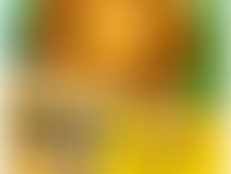 ひよこ豆 美味しいカレー