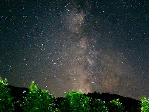 「するりん白花」